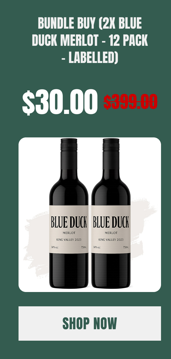 Bundle Buy (2x Blue Duck Merlot – 12 Pack – Labelled)