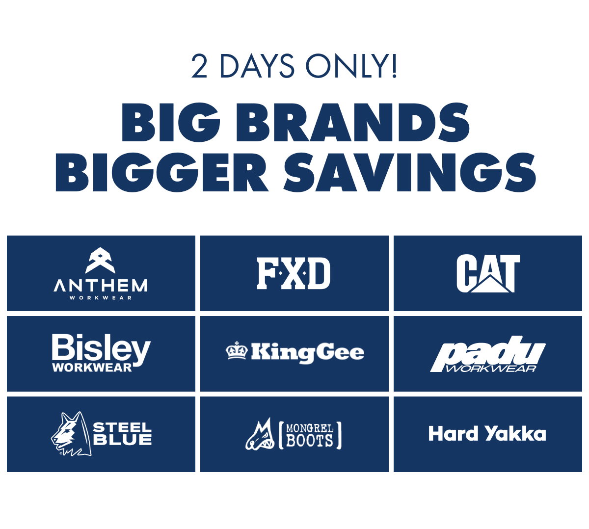 2 DAYS ONLY! BIG BRANDS BIGGER SAVINGS