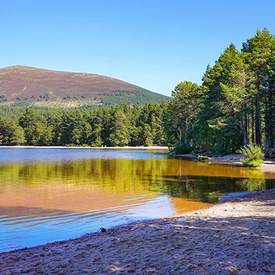 Loch Morlich image