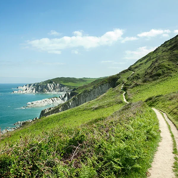 Mortehoe image