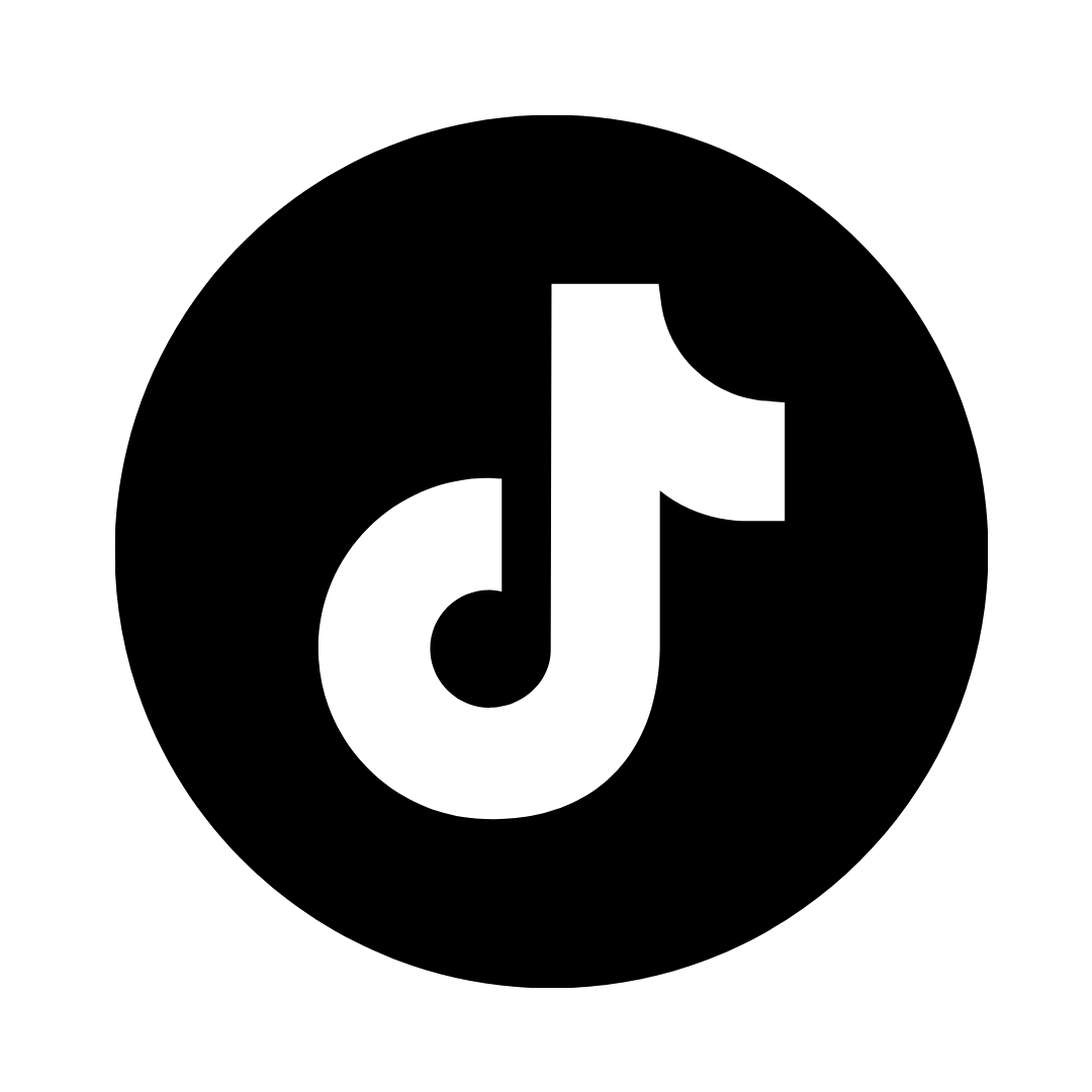 tiktok icon