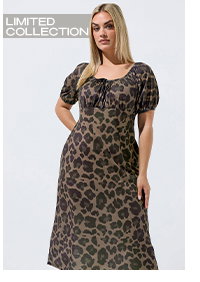 LIMITED COLLECTION Curve Brown Leopard Tie Neck Dress