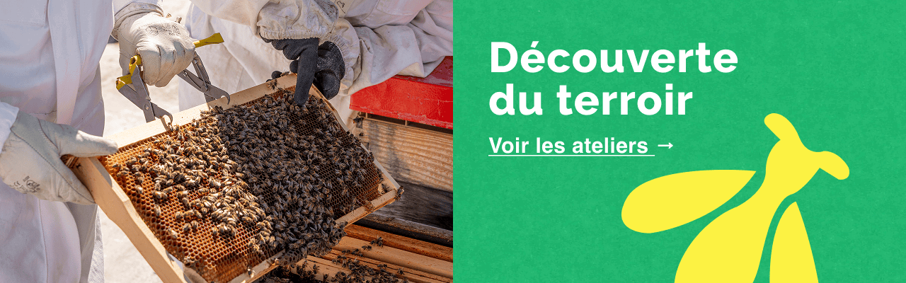 Découverte du terroir