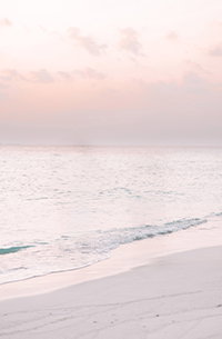 Shop the sunset shop