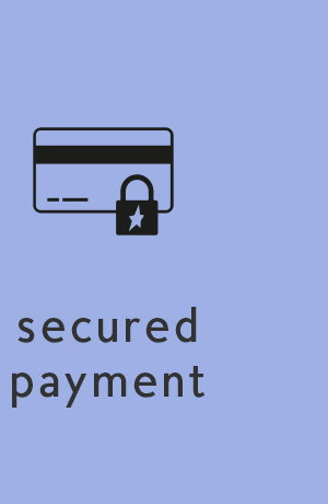 secure payment