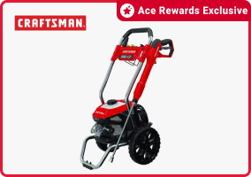 Ace Rewards Exclusive