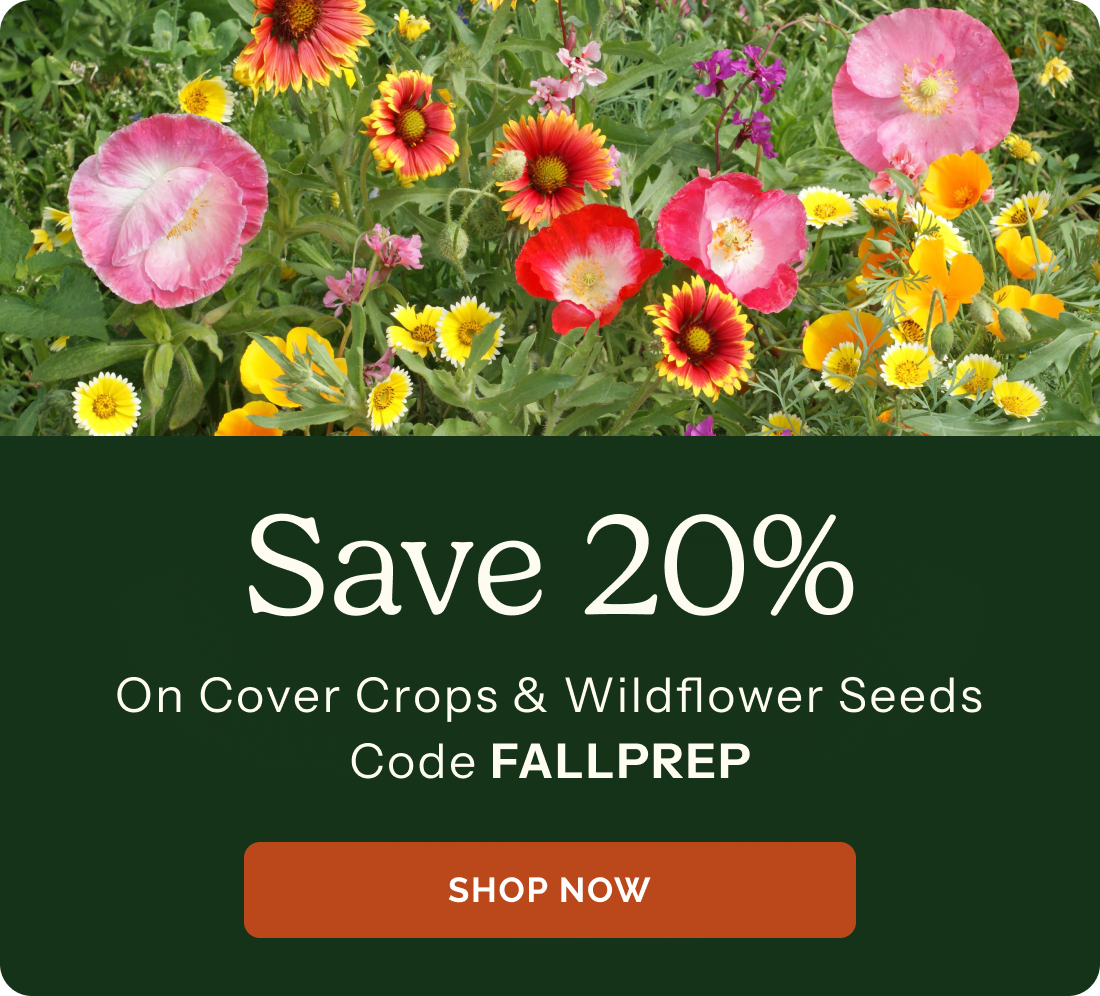 Save 20% On cover crop & wildflower seeds! Code FALLPREP