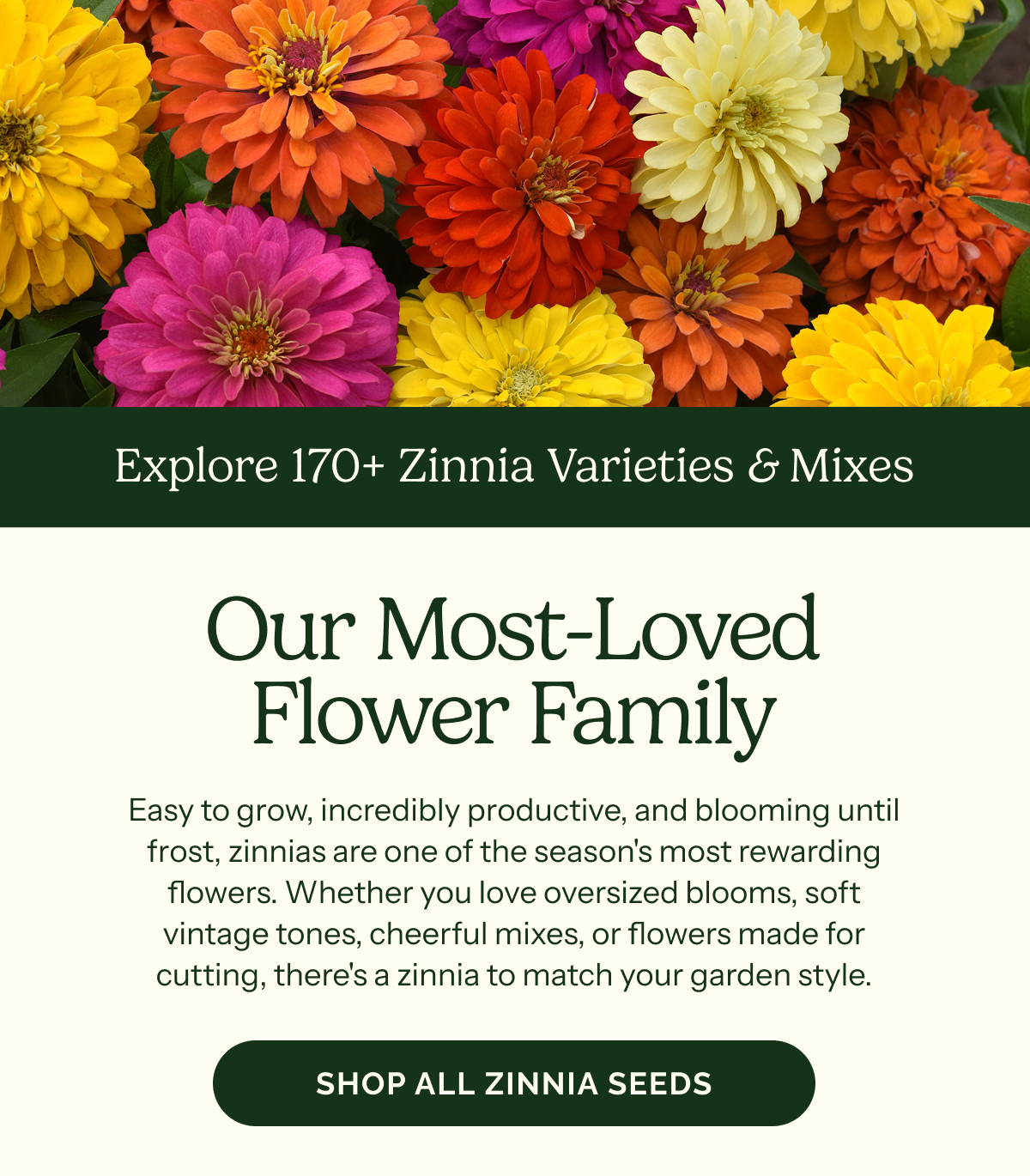 Our Most Loved Flower Family – Explore 180+ Zinnia Varieties & Mixes – Easy to grow, incredibly productive, and blooming until frost, zinnias are one of the season's most rewarding flowers. Whether you love oversized blooms, soft vintage tones, cheerful mixes, or flowers made for cutting, there's a zinnia to match your garden style.  SHOP ALL ZINNIA SEEDS