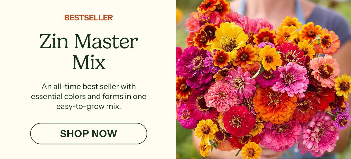 Zin Master Mix