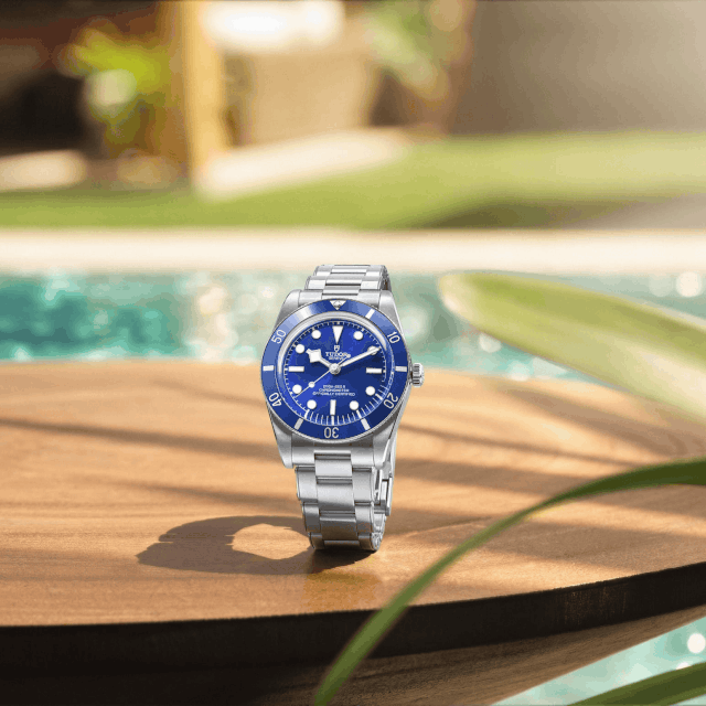 TUDOR Black Bay 54