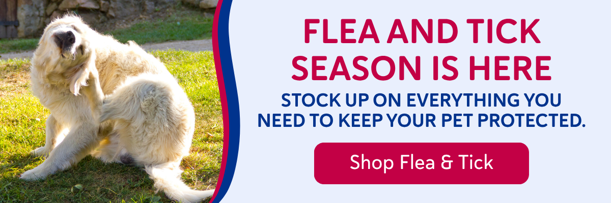 Shop Flea and Tick