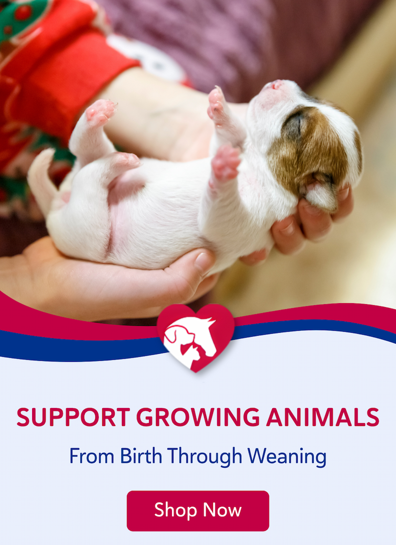 Support growing animals from birth through weaning.