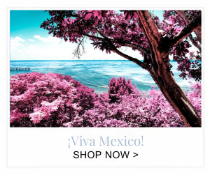 Viva Mexico