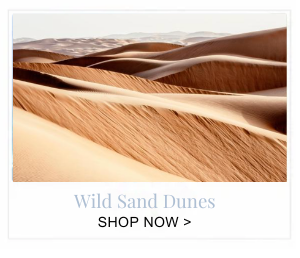 Wild Sand Dunes
