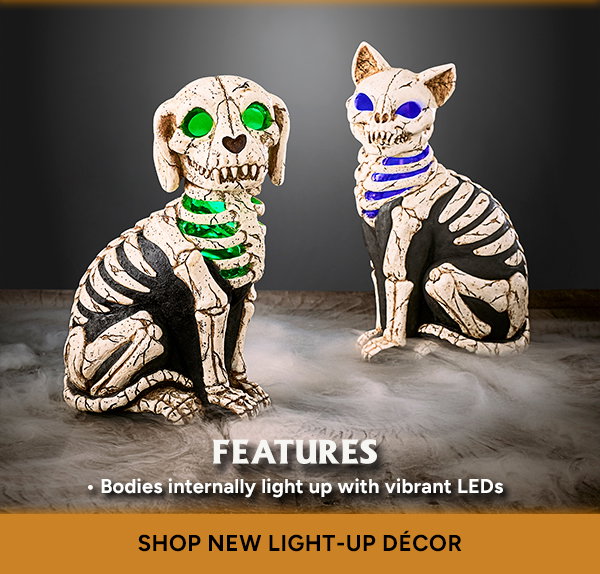 Shop New Light-Up Decor