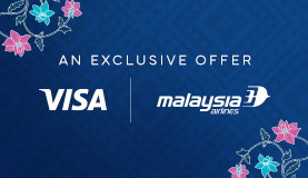 Visa