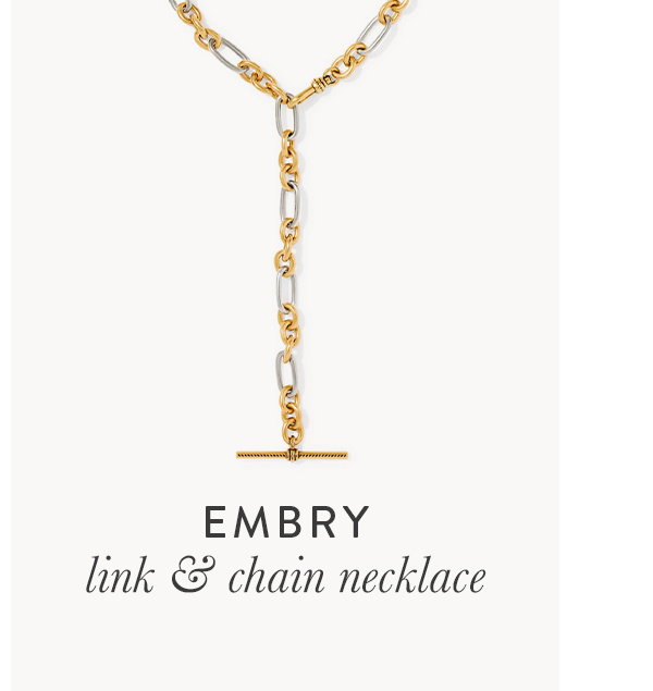 Embry link & chain necklace