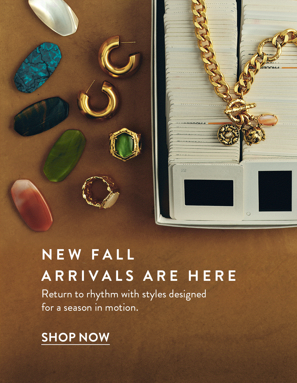 New fall arrivals are here