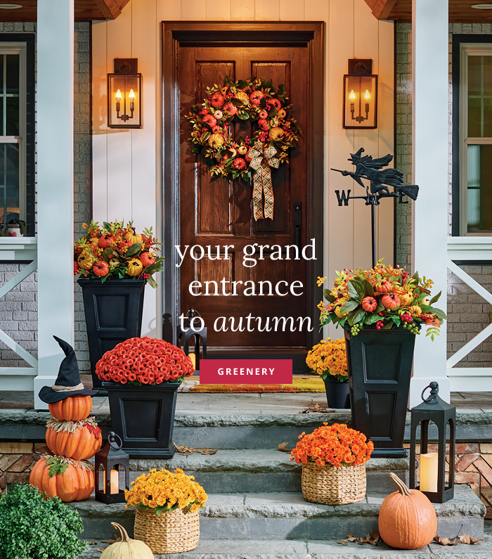 Shop Fall Greenery