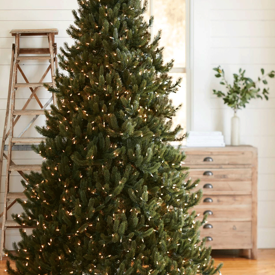 VERMONT WHITE SPRUCE