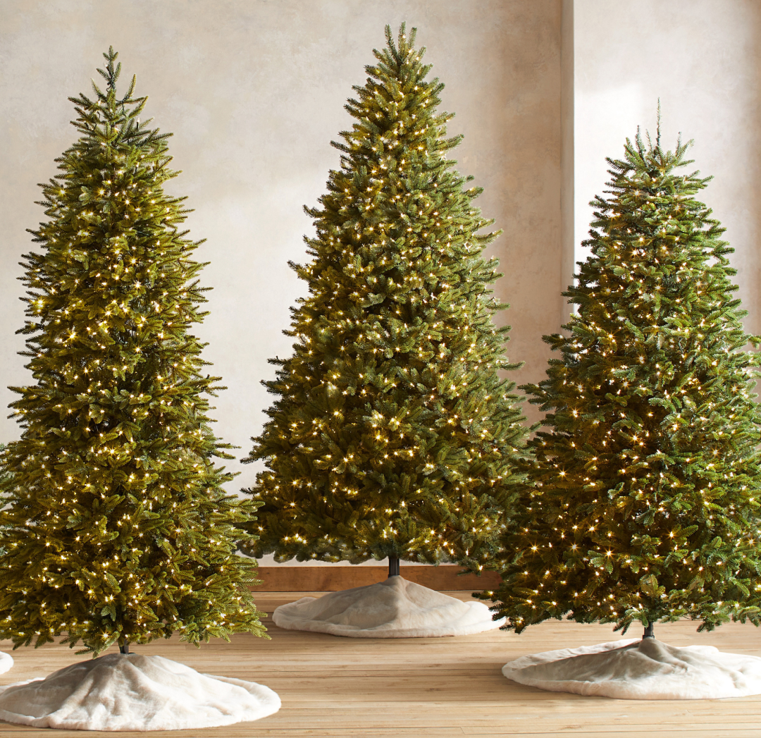 Pre-lit Christmas trees displayed in a sunlit room