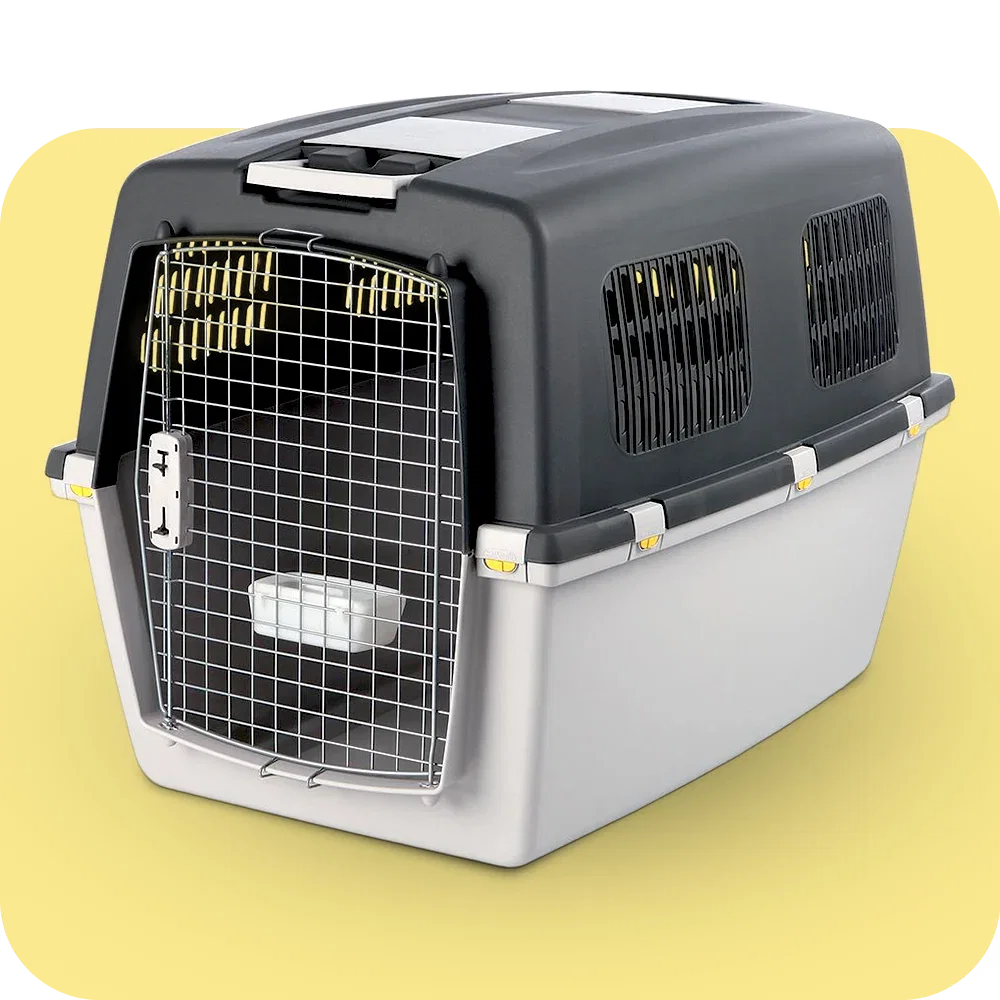 Dog Travel