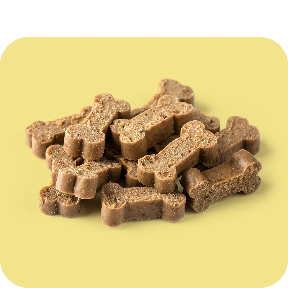 Snacks