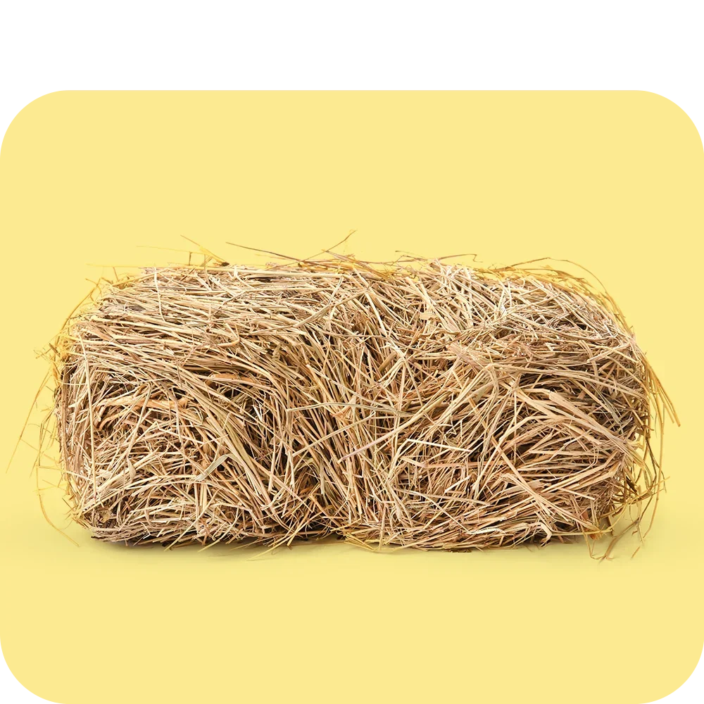 Hay & straw