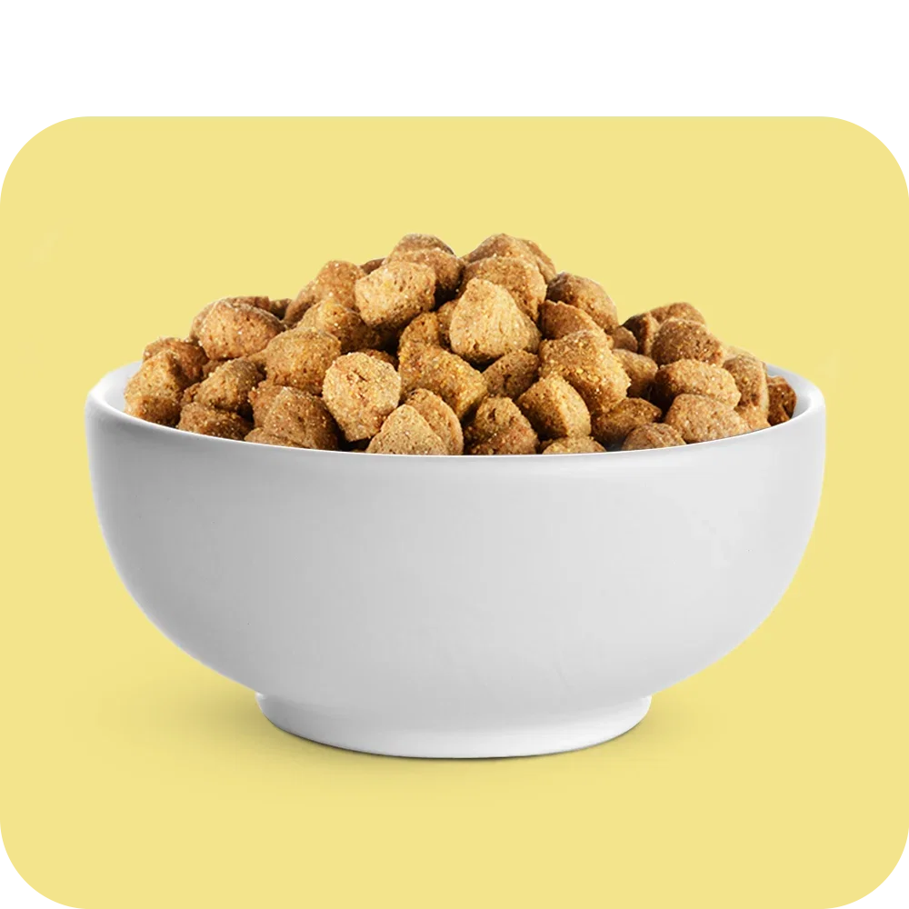 Dry Food