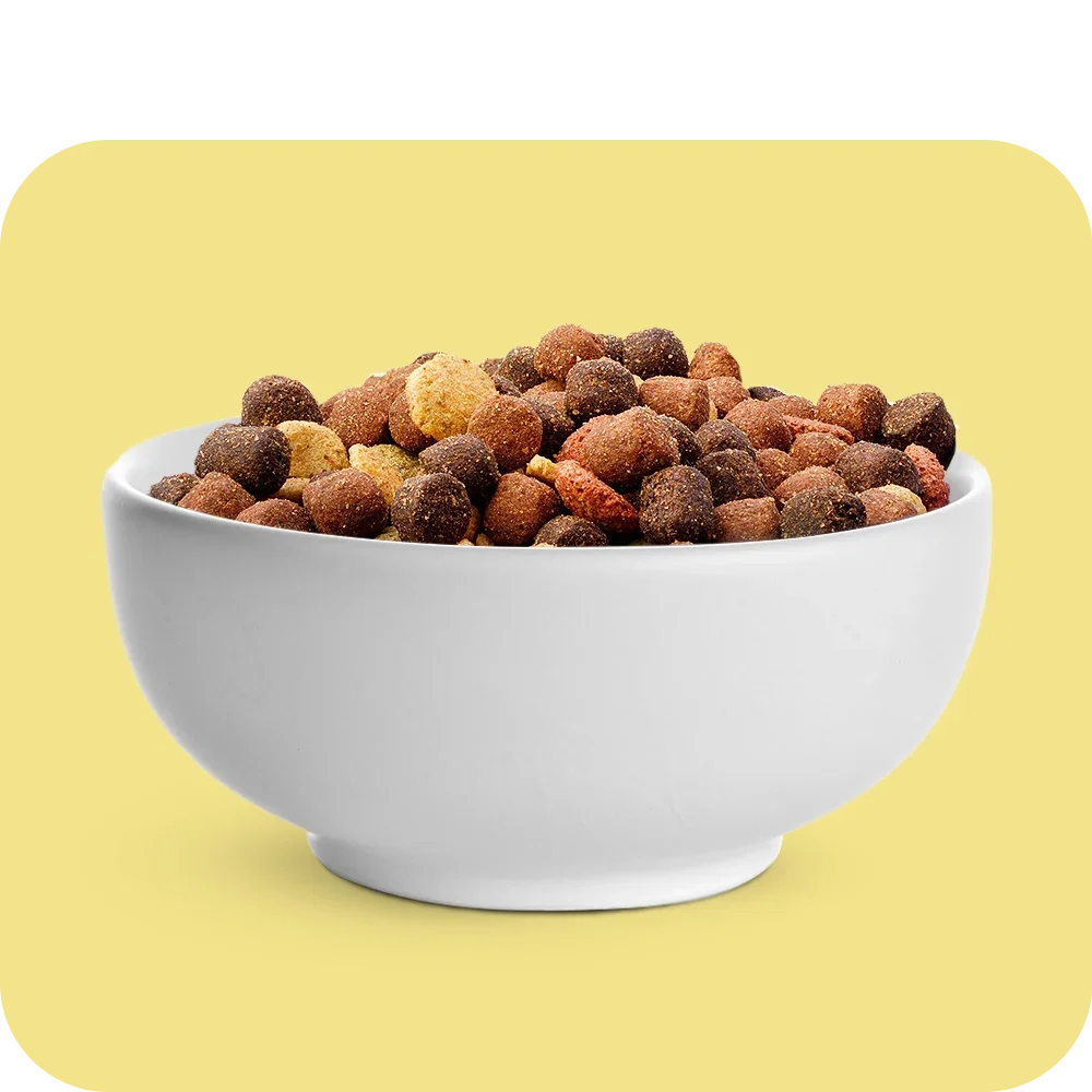 Dry Food