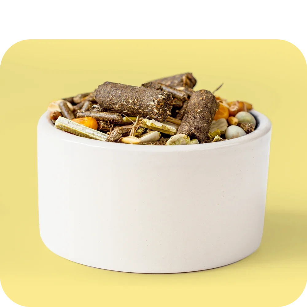 Small Pet Food
