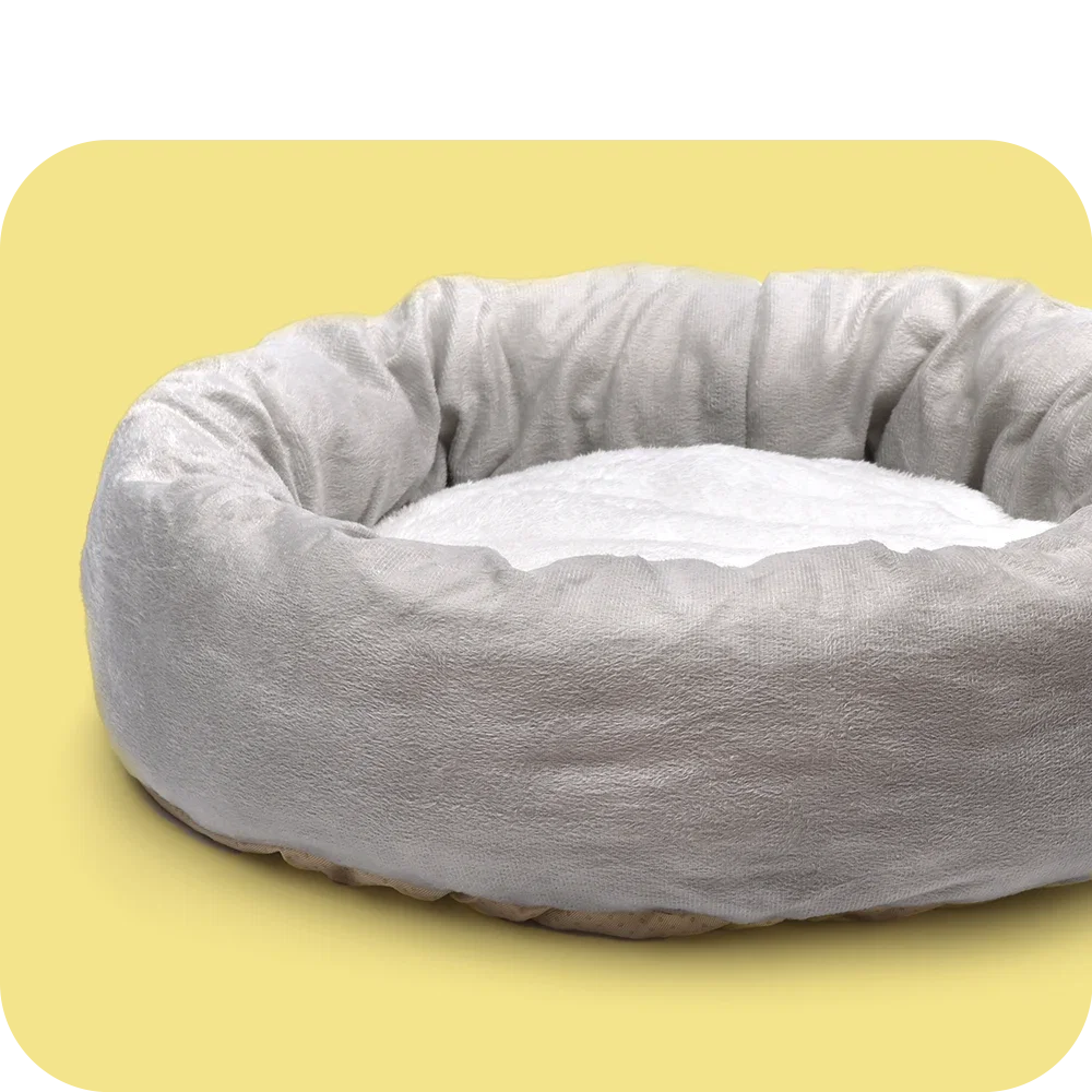 Dog beds