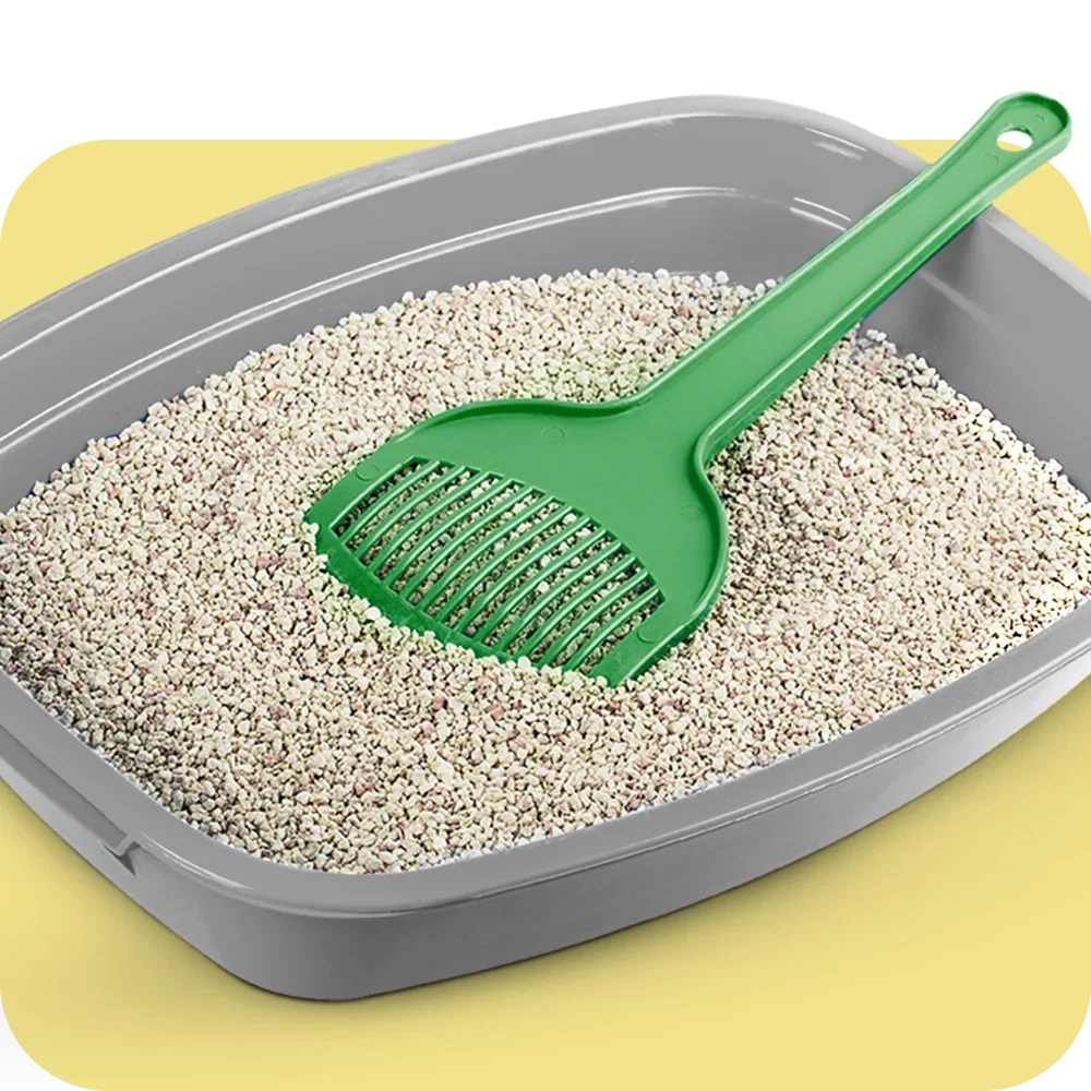 Cat litter
