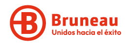 logo Bruneau