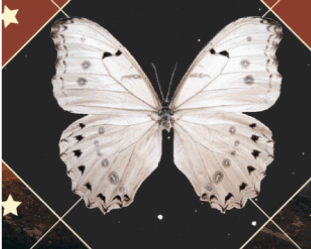 2023 Vedic Horoscope
