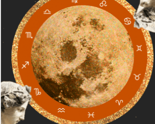 2023 Horoscope