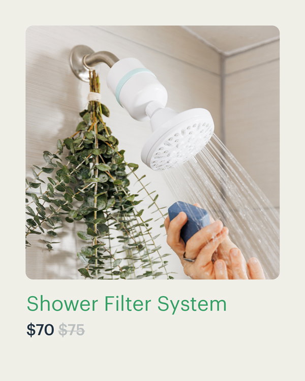 Shower Filter