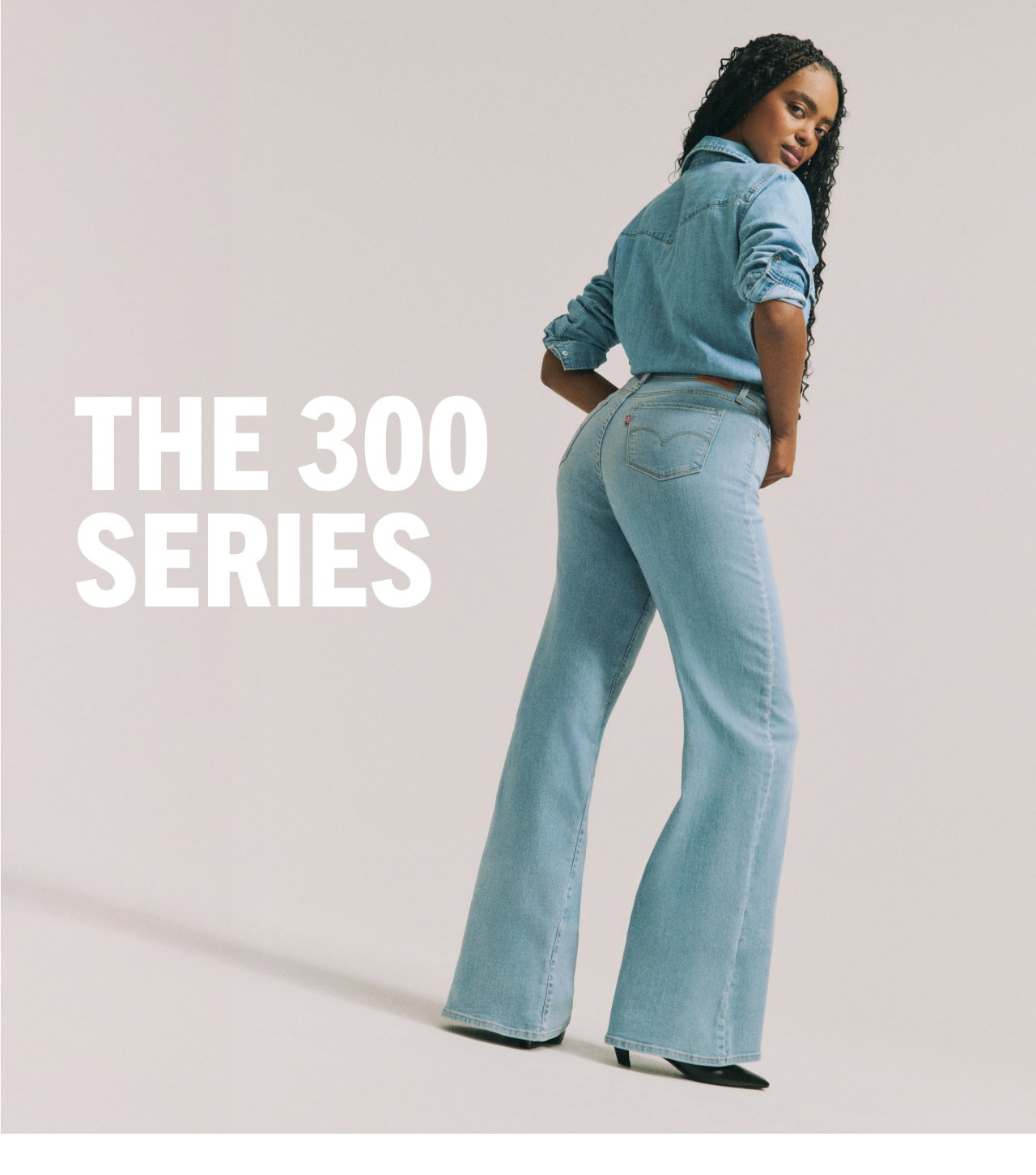 THE 300 SERIES