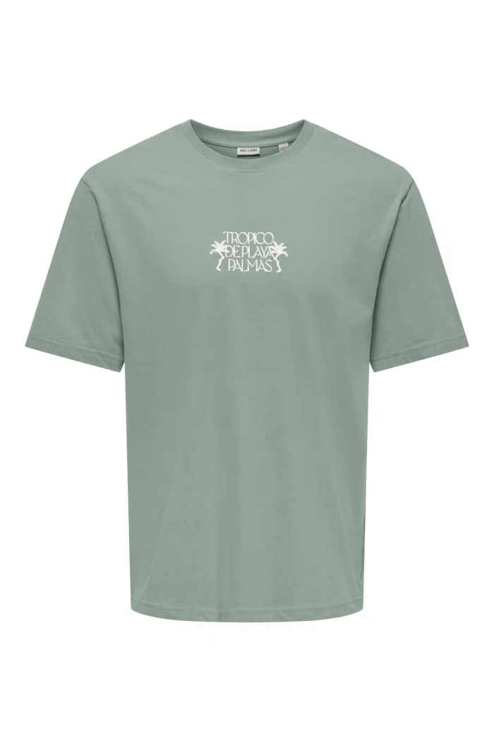Only and Sons ONSMALIK TROPICO RLX SS TEE iceberg green/tropico deplaya