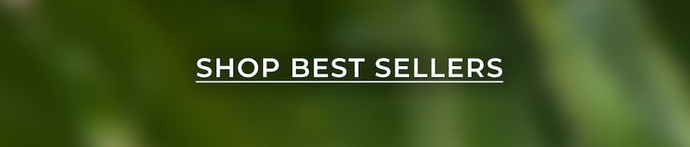 Shop Best Sellers