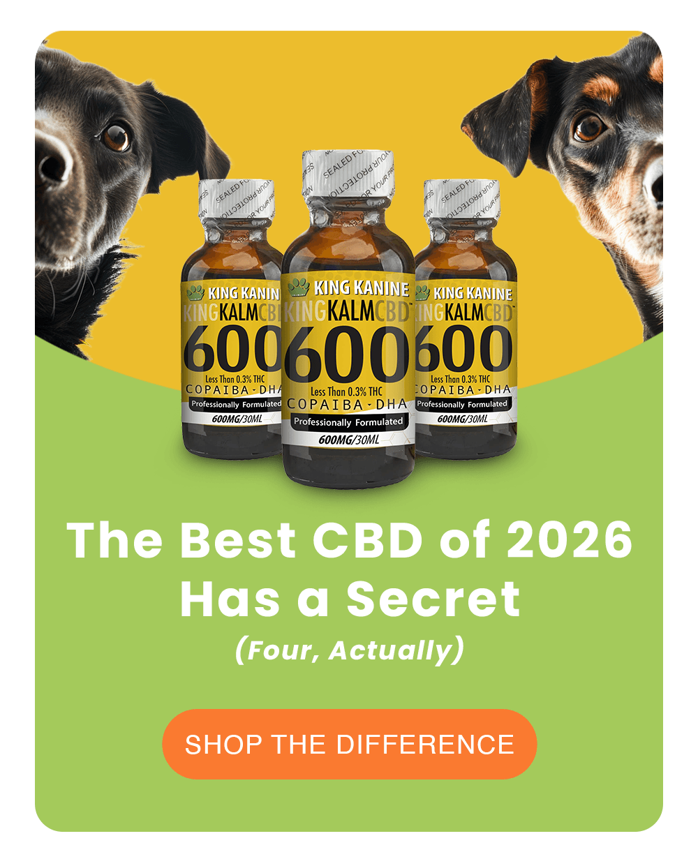 The Best CBD of 2026 Has a Secret (Four, Actually)