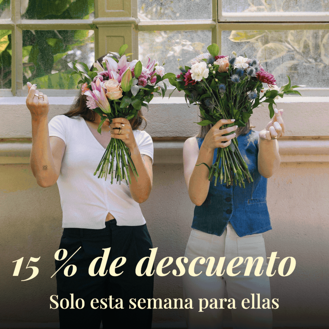 Amores bonitos 