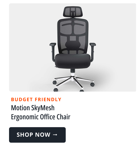 Motion Skymesh Chair