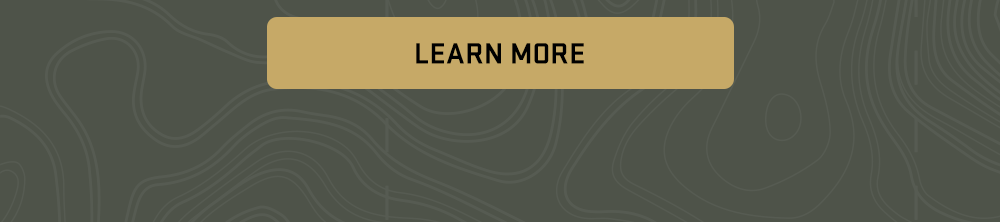 Learn More