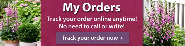 My Orders