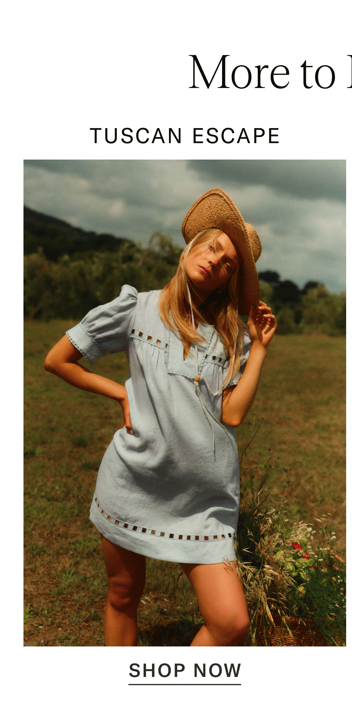 Tuscan Lifestyle Guide