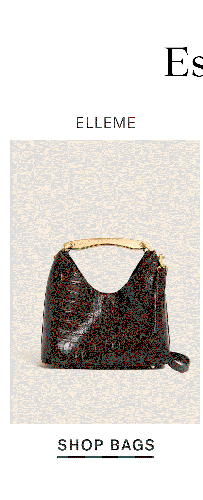 Shop Bags