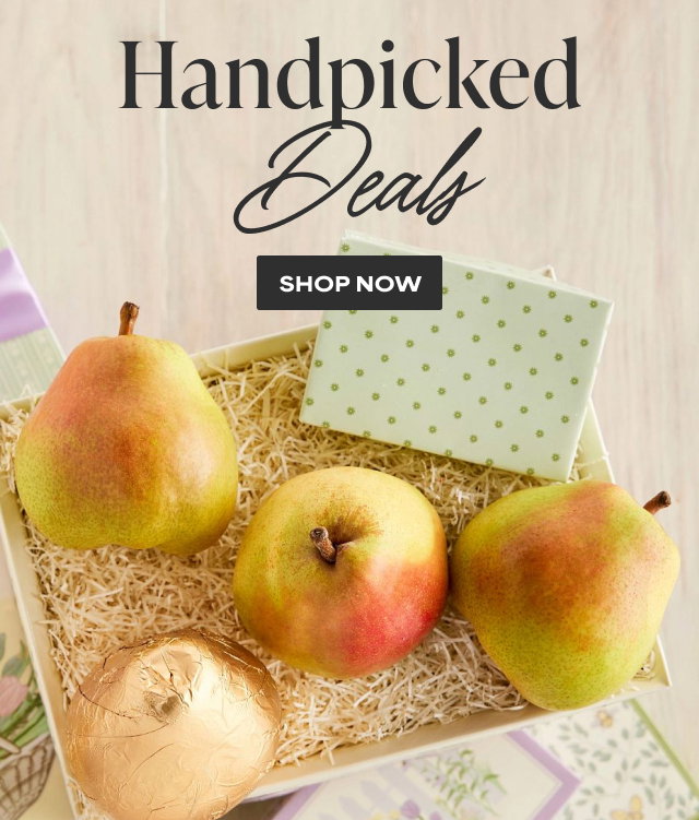 Handpicked Deals