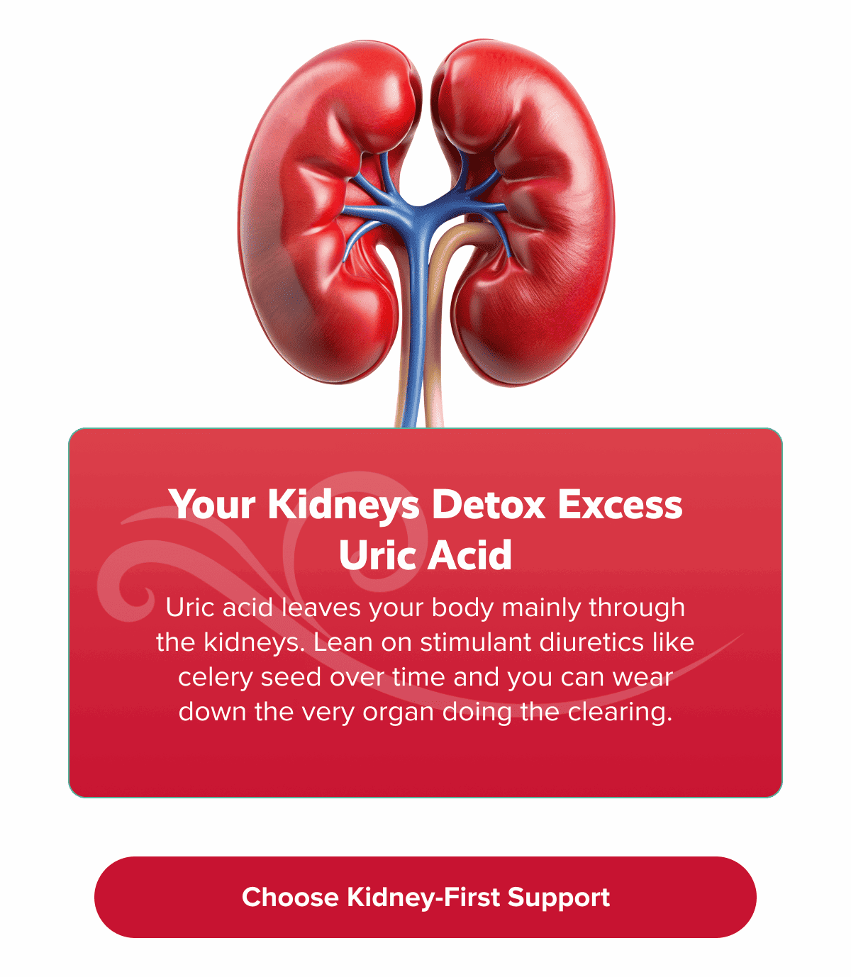 Your kidneys detox excess uric  acid | Uric acid leaves your body mainly through the kidneys. Lean on stimulant diuretics like celery seed over time and you can wear down the very organ doing the clearing. | Choose Kidney-First Support