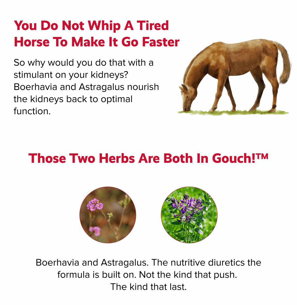 You do not whip a tired horse to make it go faster | Those two herbs are both in Gouch!™